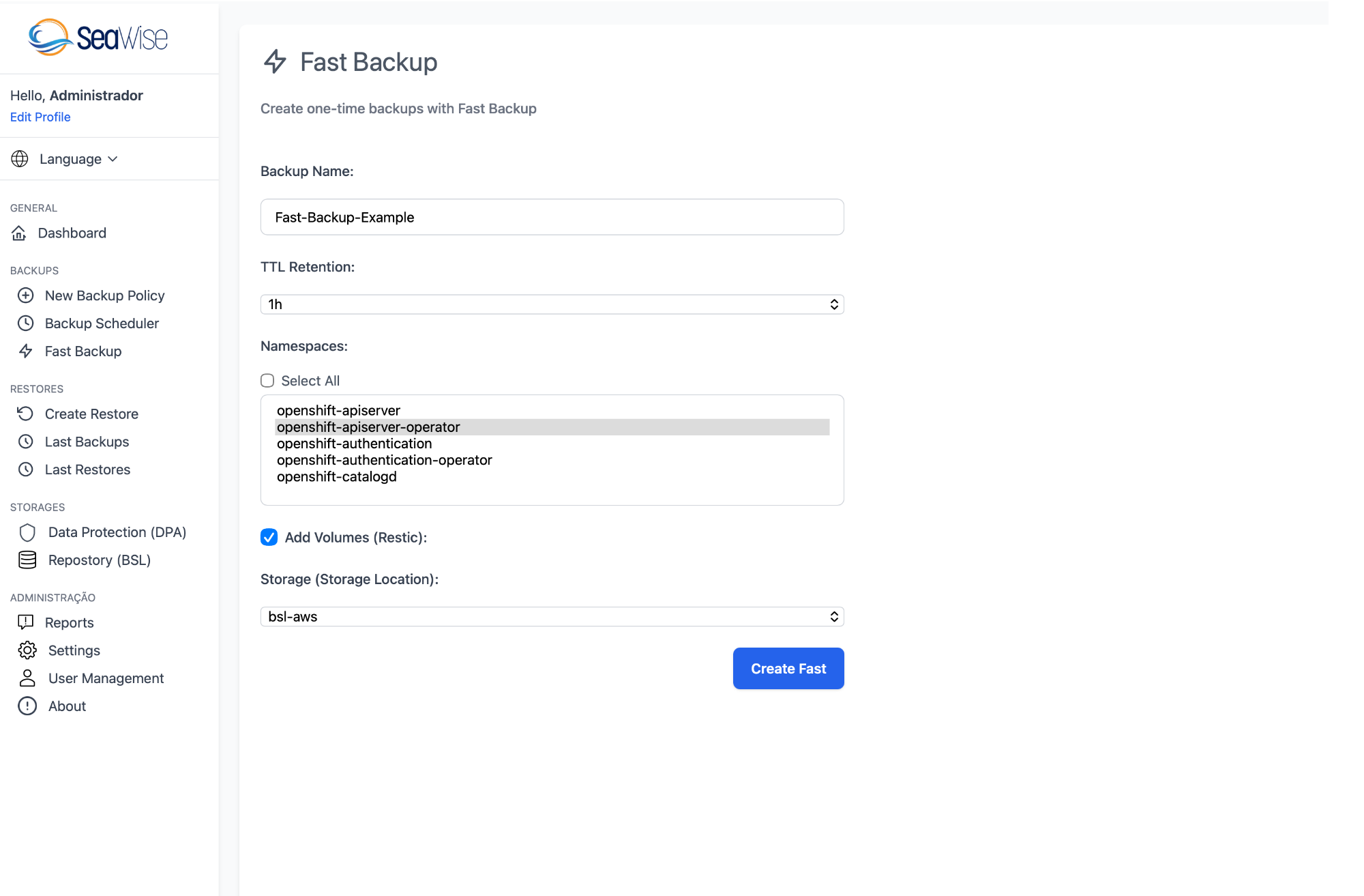 Fast Backup do Seawise
